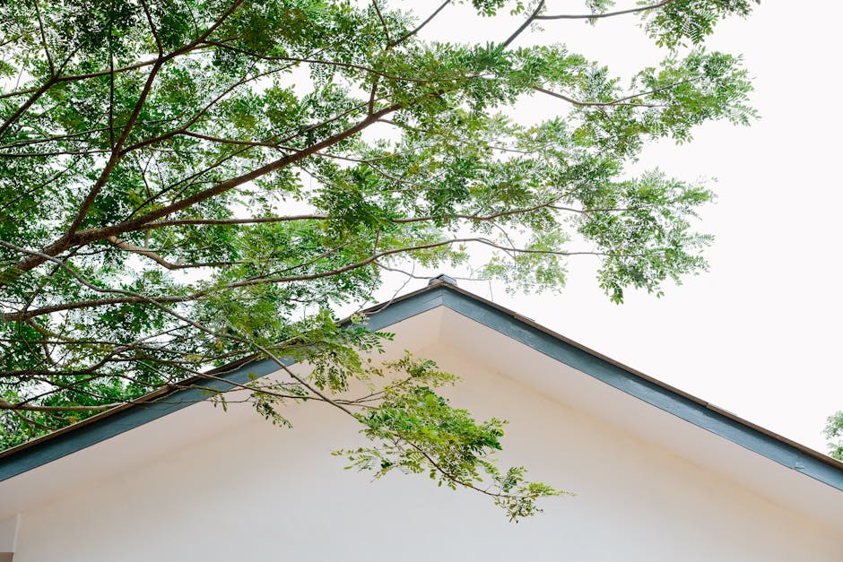 Lafayette — Recent Roofing Project
